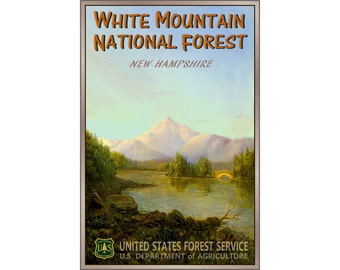 White Mountain National Forest New Original Travel Poster Albany Carroll County New Hampshire Retro Art Print 144