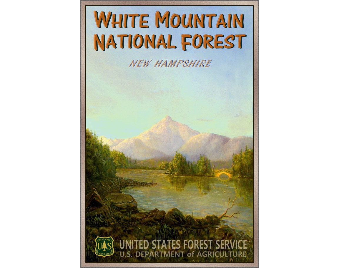 White Mountain Forest Nuevo Original Travel Poster -