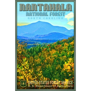 Nantahala National Forest Nuevo Cartel de Viaje Original De Carolina del Norte Impresión de Arte 144