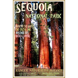 SEQUOIA NATIONAL PARK Nuevo cartel de turismo retro viajes California Redwood Trees Arte Impresión 117