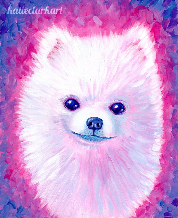 Pomeranian buy online 2025