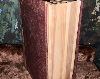 Antique Hardback Novel “The Story of Avis” by Elizabeth Stuart Phillips