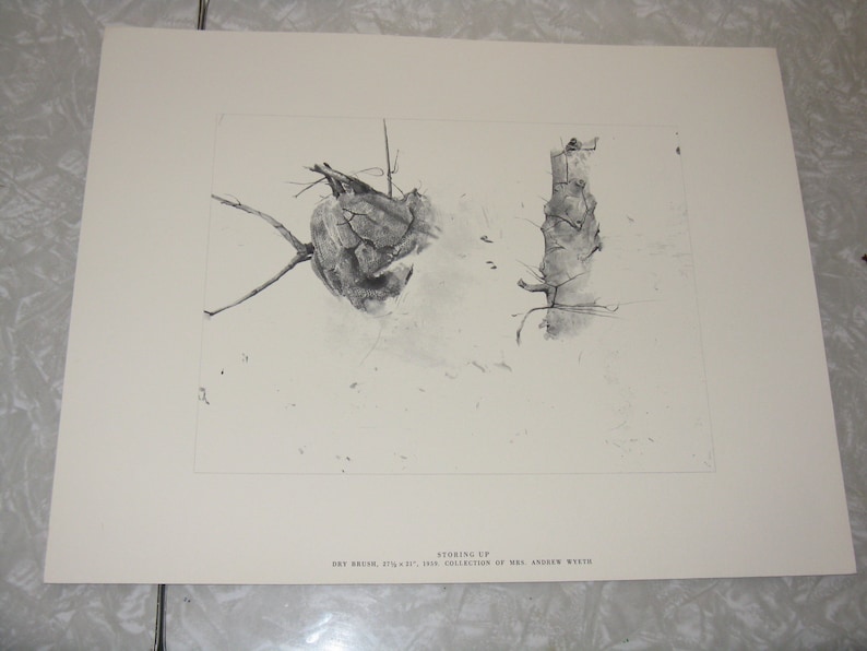 and Storing Up New Leaves Set of 3 vintage reproduction prints Spring Sun