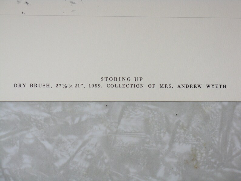 and Storing Up New Leaves Set of 3 vintage reproduction prints Spring Sun