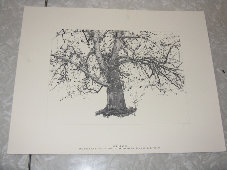 and Storing Up New Leaves Set of 3 vintage reproduction prints Spring Sun