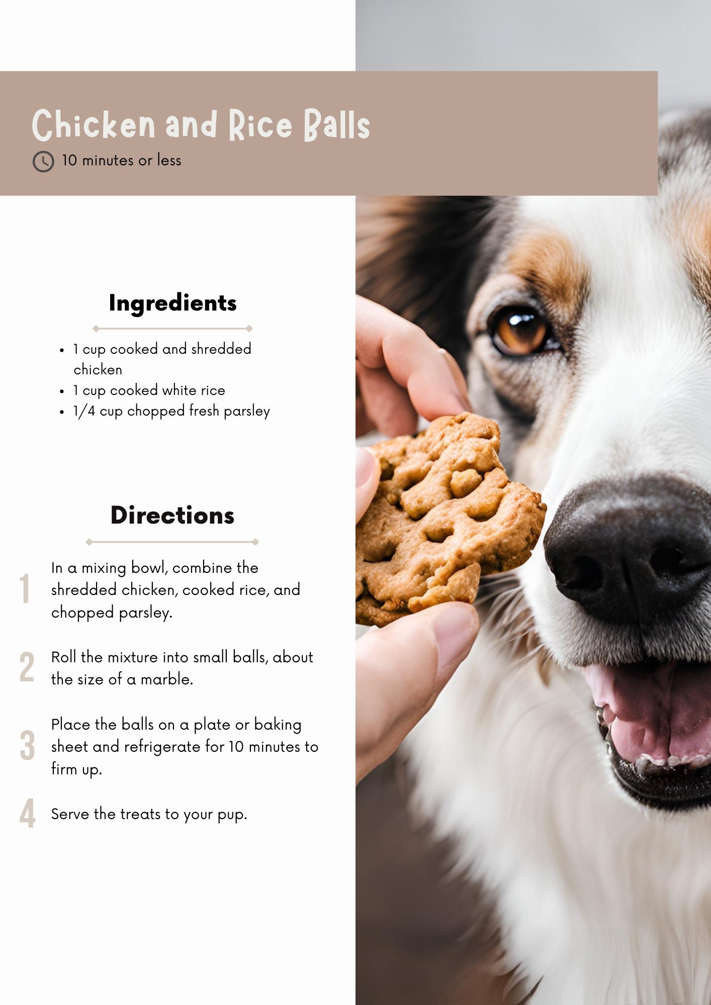 Dog Treat Recipe Book & Template Homemade Treats Cookbook for Dog ...
