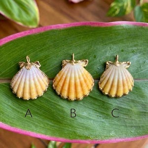 May include: Three scallop shell pendants with gold-toned metal caps at the top. Each shell features a gradient of white to orange-yellow hues with distinct ridges. The pendants are labeled A, B, and C in black text below each respective shell.