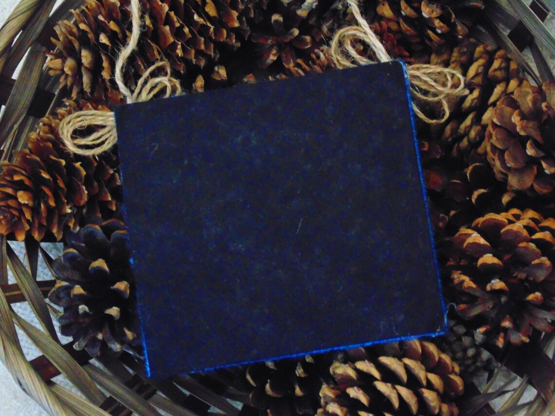 Canada Goose Needlepoint Wall Art Woodland Needle Art Goose Etsy