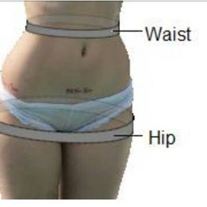 May include: Anatomy diagram showing the waist and hip measurements on a person. The waist is labeled with a line circling the midsection, and the hip is labeled with a line circling the lower torso. The person is wearing white underwear.