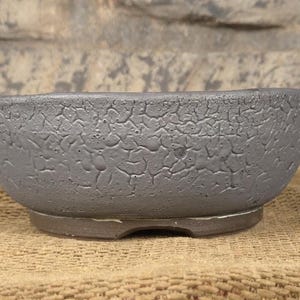 May include: A gray, textured ceramic bowl with a wide, shallow design. The bowl has a cracked, weathered appearance and sits on a dark gray base. The background is a neutral, textured surface.