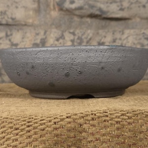 May include: A gray ceramic bonsai pot with a textured surface and a low, rounded shape. The pot has a dark, speckled appearance and sits on a woven surface. The background features a stone wall.