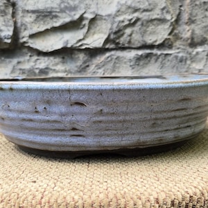 May include: A light blue ceramic planter with a textured, rippled surface. The planter has a wide, shallow bowl shape and a dark brown rim.