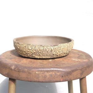 Handcrafted Oval Bonsai Container – Dark Stoneware with Wild Clay Slip, Bark Textured