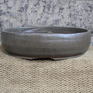 May include: A brown ceramic bonsai pot with a rounded shape and a slightly flared rim. The pot has a textured surface and a small drainage hole in the bottom.