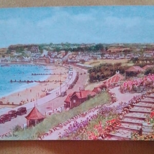 Swanage do Norte 4215 Cartão postal de salmão usado postalmente