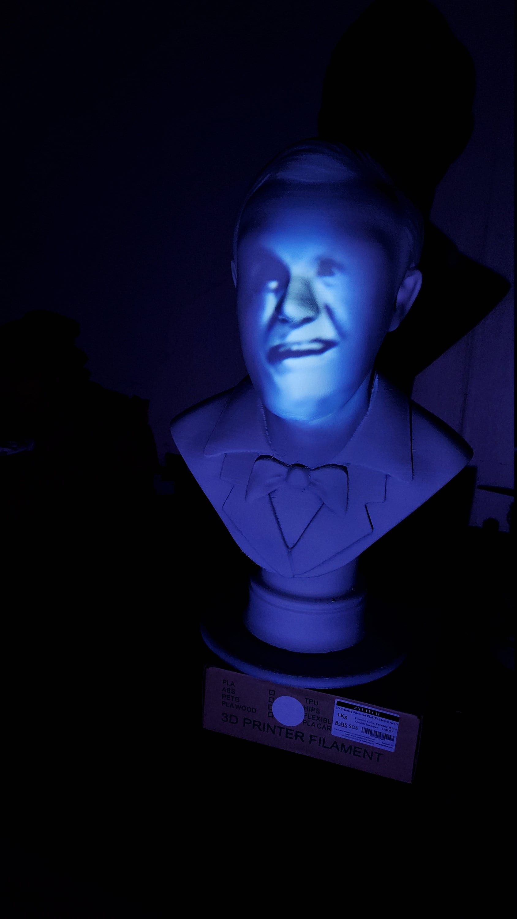 Life Size Mansion Singing Busts! - Etsy display picture 1