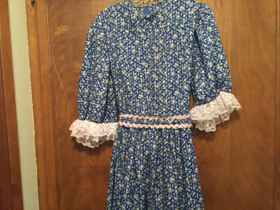 Vintage Farm Dress Costume Dress Blue Floral Dress - image 3