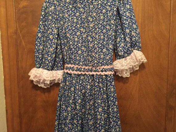 Vintage Farm Dress Costume Dress Blue Floral Dress - image 4