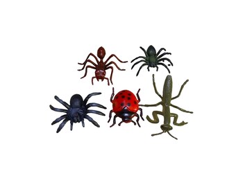 Insect Lot 5 Fire Ant, Black Spider, Wolf Spider, Lady Bug and Mantis