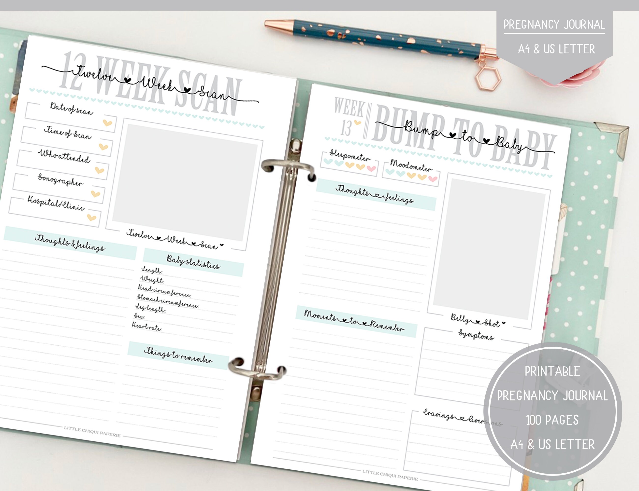 The Ultimate Pregnancy Journal - Printable Pregnancy Journal - Bump t…