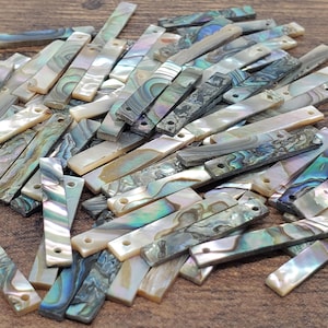 25mm Natural Rainbow Abalone Bar Beads (10 pieces)