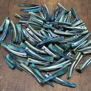 May include: A collection of iridescent, teal-colored shell beads. The beads are elongated and have a natural, polished appearance. They vary in size and shape, with a mix of smooth and textured surfaces. The beads are scattered on a brown surface.