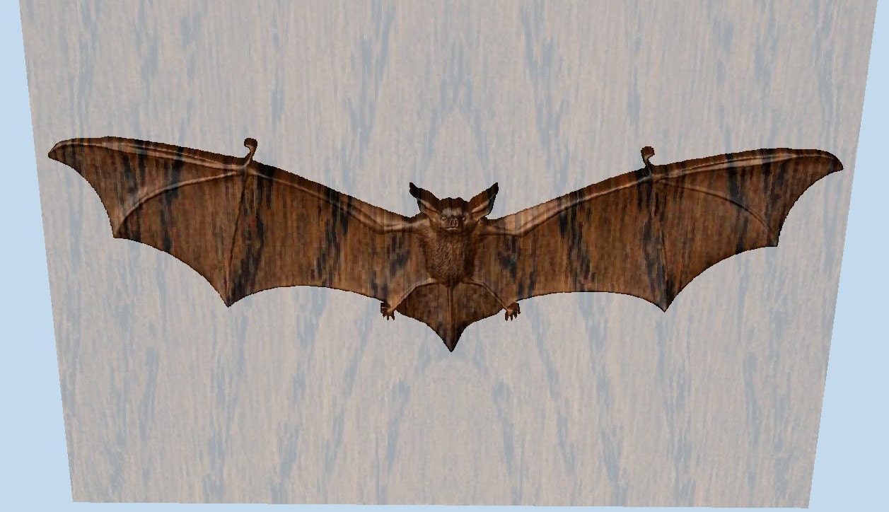 Wood Bat Wall Hanging Wood Carving Gothic Decor Etsy
