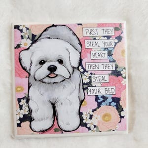 Steal Your Heart, Maltese dog decorative coaster tile