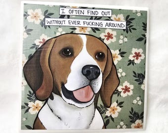 Beagle dog, Find Out, decorative coaster tile