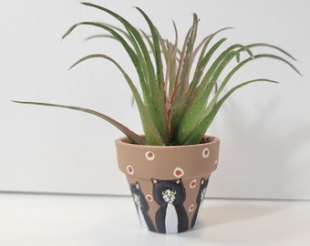 Tuxedo Cat handpainted mini pot with succulent