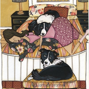 Sleeping Border, Border Collie dog wall art print gift