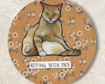 Orange Cat, Resting Bitch Face, cat ornament