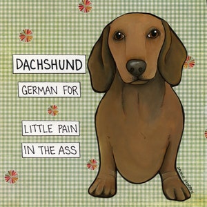 Pain in the Ass, dachshund dog wall art print gifts