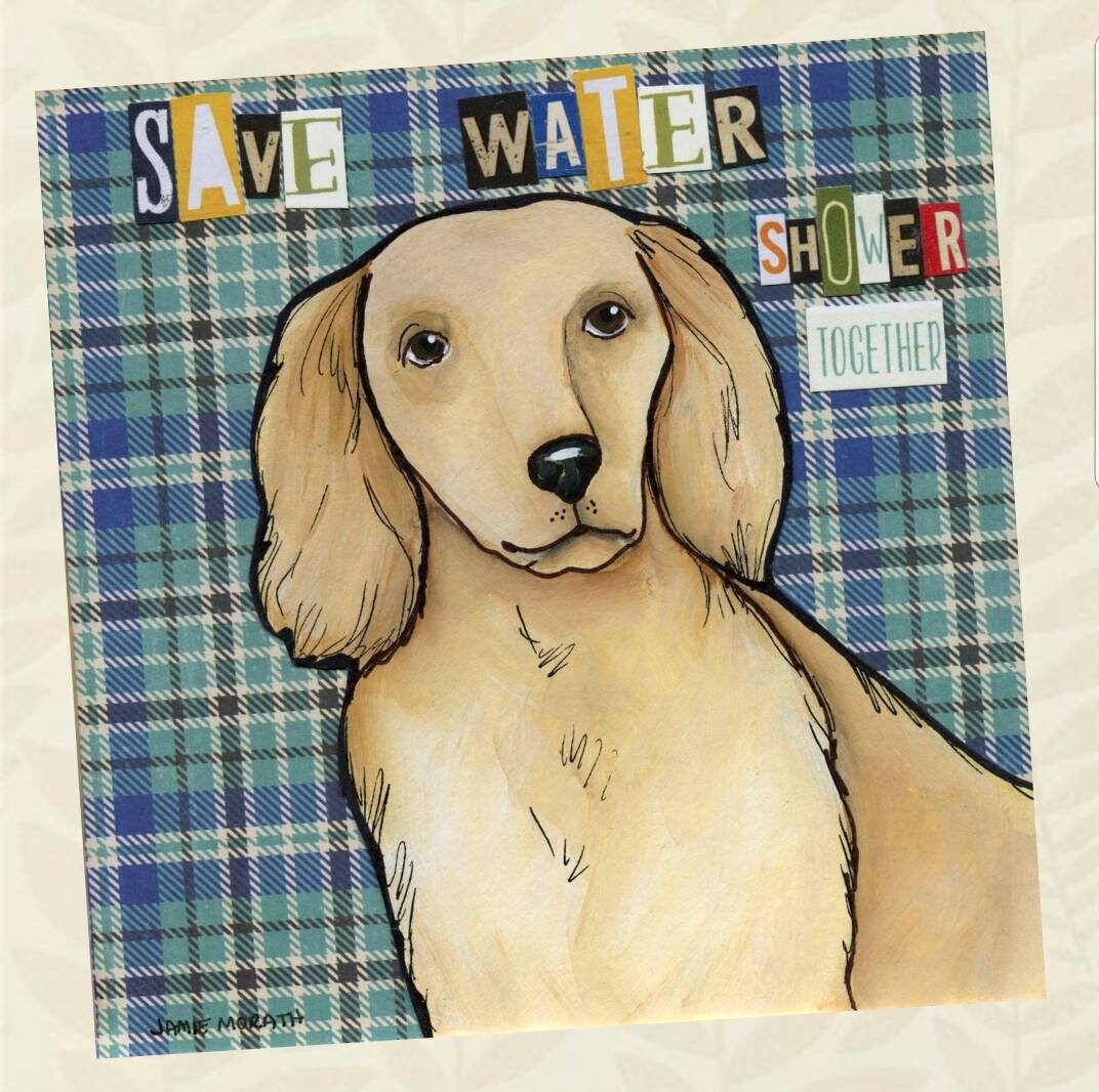 Shower Together Save Water Blue Plaid Background With Light