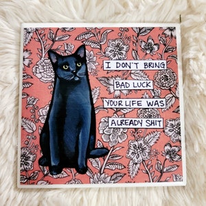 May include: A black cat sitting on a pink and white floral background. The text on the image reads "I don't bring bad luck your life was already shit."