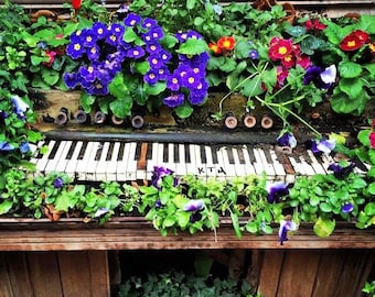 Piano florido