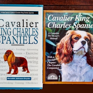 2 King Charles Cavalier Spaniel Books 1990s A New Owner&#39;s Guide to Cavalier King Charles Spaniels, Cavalier Spaniel Owner&#39;s Mannual Book