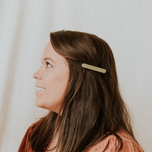 Autumn Neutral Hair Clips/ Skinny Bar Resin Alligator Clips/ Fall Barrette/ gift