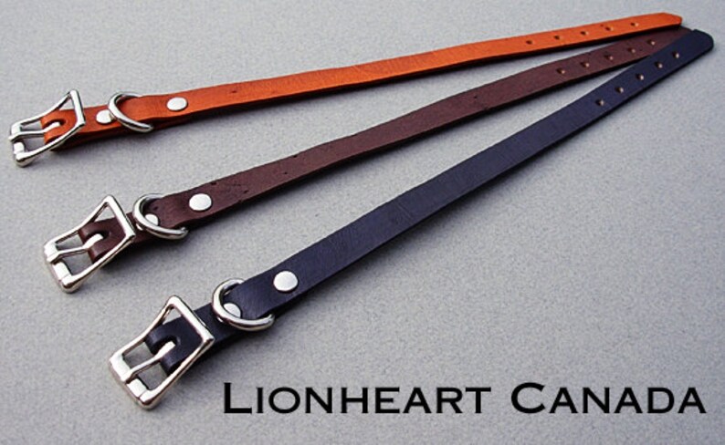 Excellent Quality Cat Collar 3/8 Wide image 2