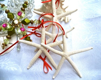 Beach Ornament. Beautiful white starfish ornament w/ delicate red ribbon tie or choose your own ribbon color! Simple. Sophisticated. (6)