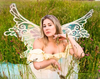 Jetta-Ann Fairy Wings with magnets