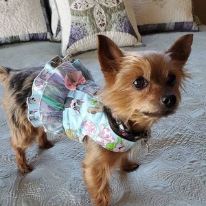 Easter Harness Vest with Double Ruffle; Dog Harness Dress; Dog vest; Pet Vest; Pet Clothing