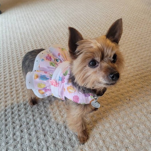 Pretty Easter Harness Vest with Double Ruffle; Dog Harness Dress; Dog vest; Pet Vest; Pet Clothing