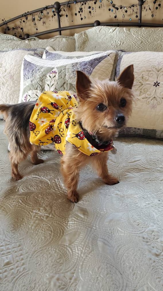 white christmas dresses Blackberries Harness Dress with Leash – 3 Red Rovers
