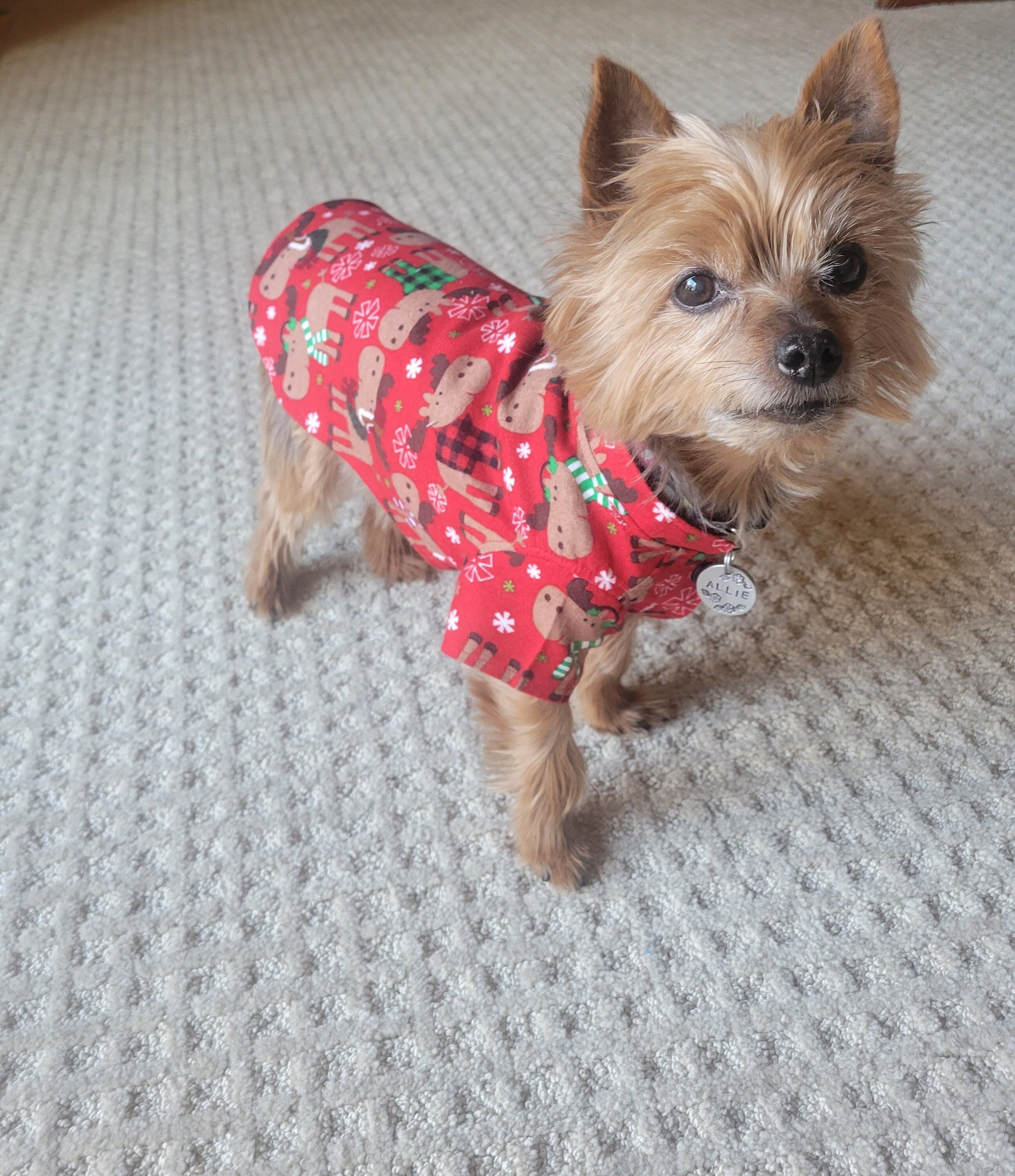 Moose Nightgowns Etsy