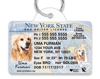 id for dogs