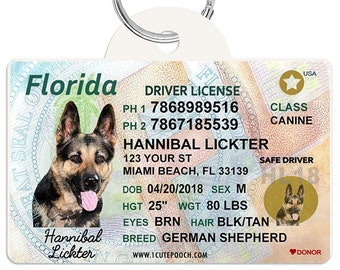 drivers licence dog tag
