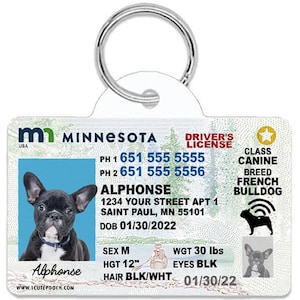 Minnesota Driver License Custom Pet ID Tags - Personalized Dog Tags - Unique Handmade Durable ID Tags for Dogs and Cats