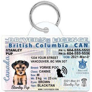 British Columbia Driver License Custom Pet ID Tags - Personalized Dog Tags - Unique Handmade Durable ID Tags for Dogs and Cats