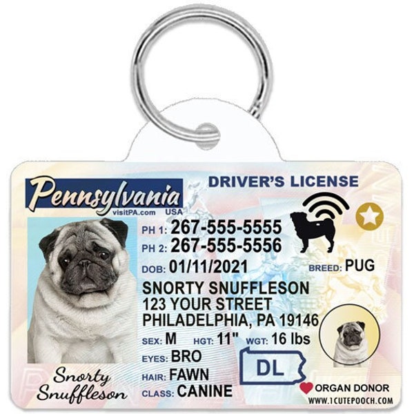 Pennsylvania Driver License Custom Pet ID Tags - Personalized Dog Tags - Unique Handmade Durable ID Tags for Dogs and Cats